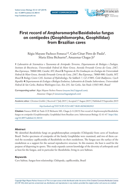 Geophilomorpha, Geophilidae) from Brazilian Caves