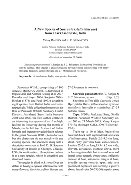 A New Species of Saurauia (Actinidiaceae) from Jharkhand State, India