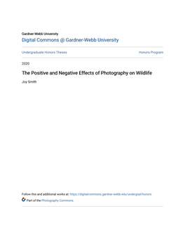 The Positive and Negative Effects of Photography on Wildlife