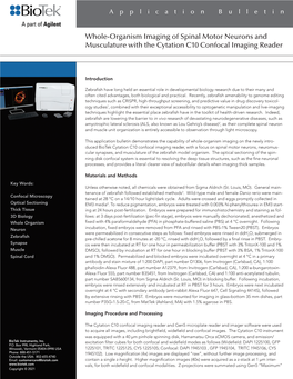 Whole-Organism Imaging of Spinal Motor Neurons and Musculature with the Cytation C10 Confocal Imaging Reader