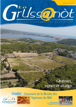 Gruissan, Vignes Et Étangs