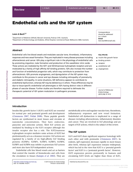 Endothelial Cells and the IGF System