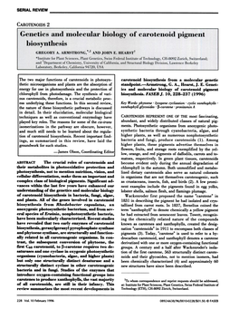 Genetics and Molecular Biology of Carotenoid Pigment Biosynthesis