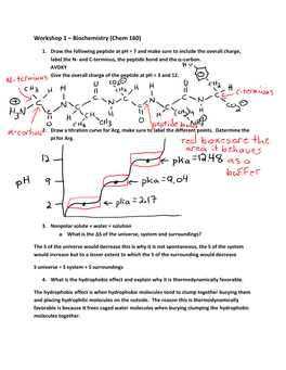 Workshop 1 – Biochemistry (Chem 160)