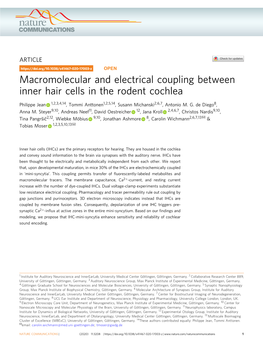 Macromolecular and Electrical Coupling Between Inner Hair Cells in the Rodent Cochlea