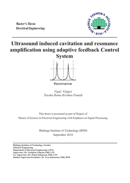 Ultrasound Induced Cavitation and Resonance Amplification Using Adaptive Feedback Control System