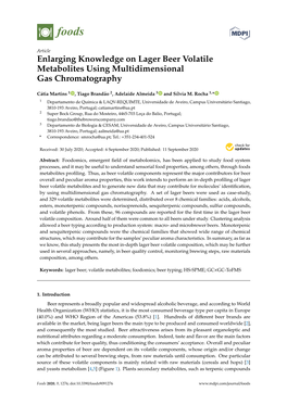Enlarging Knowledge on Lager Beer Volatile Metabolites Using Multidimensional Gas Chromatography