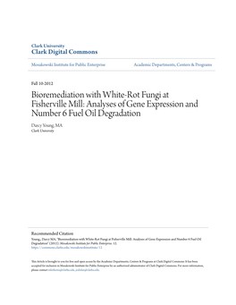 Bioremediation with White-Rot Fungi at Fisherville Mill: Analyses of Gene Expression and Number 6 Fuel Oil Degradation Darcy Young, MA Clark University