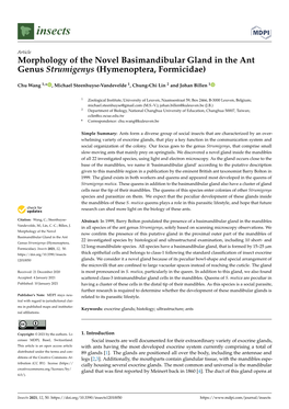 Morphology of the Novel Basimandibular Gland in the Ant Genus Strumigenys (Hymenoptera, Formicidae)