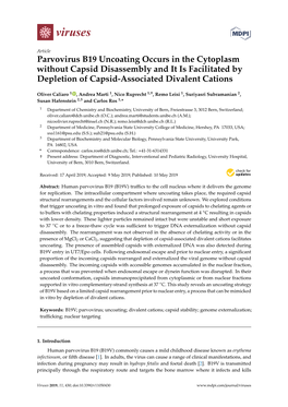 Parvovirus B19 Uncoating Occurs in the Cytoplasm Without Capsid Disassembly and It Is Facilitated by Depletion of Capsid-Associated Divalent Cations