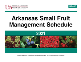 MP467 Arkansas Small Fruit Management Schedule 2021