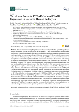 Tacrolimus Prevents TWEAK-Induced PLA2R Expression in Cultured Human Podocytes