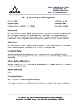 MKL1 (C) Antibody, Rabbit Polyclonal