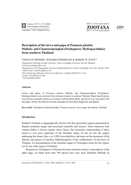 Zootaxa: Description of the Larva and Pupa of Potamyia Phaidra