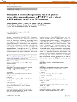 Transportin 1 Accumulates Specifically with FET Proteins but No Other