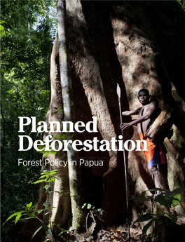 Planned Deforestation: Forest Policy in Papua | 1