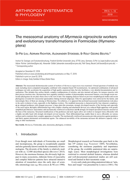 The Mesosomal Anatomy of Myrmecia Nigrocincta Workers and Evolutionary Transformations in Formicidae (Hymeno- Ptera)