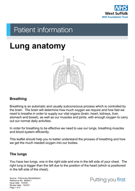 Lung Anatomy