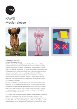 KAWS Media Release