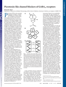 Picrotoxin-Like Channel Blockers of GABAA Receptors