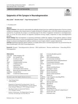 Epigenetics of the Synapse in Neurodegeneration