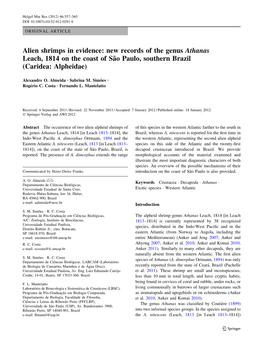 Alien Shrimps in Evidence: New Records of the Genus Athanas Leach, 1814 on the Coast of Sa˜O Paulo, Southern Brazil (Caridea: Alpheidae)