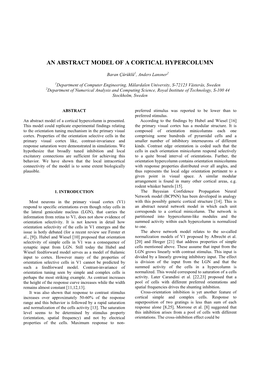 An Abstract Model of a Cortical Hypercolumn