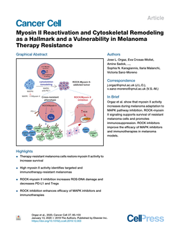 Myosin II Reactivation and Cytoskeletal Remodeling As a Hallmark and a Vulnerability in Melanoma Therapy Resistance
