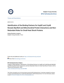 Identification of the Binding Partners for Hspb2 and Cryab Reveals