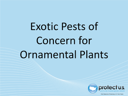 Exotic Pests of Concern for Ornamental Plants Introduction