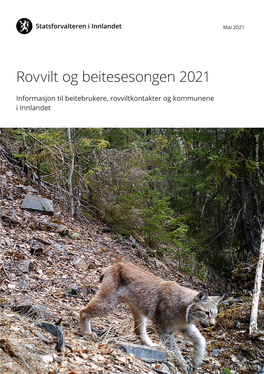 Informasjonsbrosjyre Om Rovvilt Og Beitesesong 2021