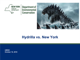 Hydrilla Vs. New York