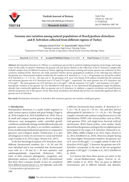 Genome Size Variation Among Natural Populations of Brachypodium Distachyon and B