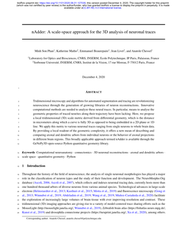 Nadder: a Scale-Space Approach for the 3D Analysis of Neuronal Traces