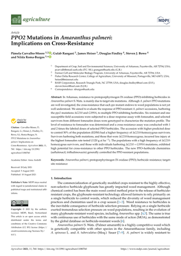 PPO2 Mutations in Amaranthus Palmeri:Implications on Cross-Resistance