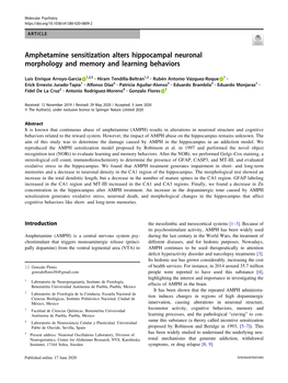 Amphetamine Sensitization Alters Hippocampal Neuronal Morphology and Memory and Learning Behaviors