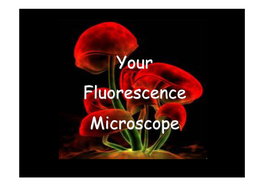 Your Fluorescence Microscope Transmitted-Light