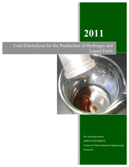Final Report Coal Project