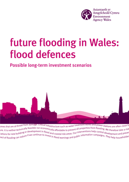 Flood Defences Possible Long-Term Investment Scenarios We Are Environment Agency Wales