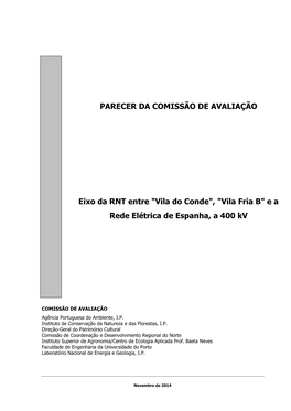 PARECER DA COMISSÃO DE AVALIAÇÃO Eixo Da RNT Entre "Vila Do Conde", "Vila Fria B" E a Rede Elétrica De E