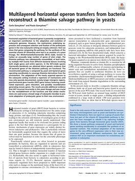 Multilayered Horizontal Operon Transfers from Bacteria Reconstruct a Thiamine Salvage Pathway in Yeasts