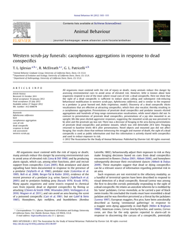 Western Scrub-Jay Funerals: Cacophonous Aggregations in Response to Dead Conspeciﬁcs