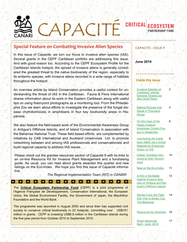 Capacité Issue 4