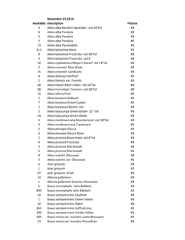 November 27,2014 Available Description Potsize 4 Abies Alba