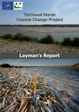 Layman's Report