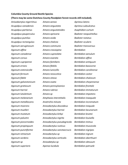 Columbia County Ground Beetle Species (There May Be Some Dutchess County Floodplain Forest Records Still Included)