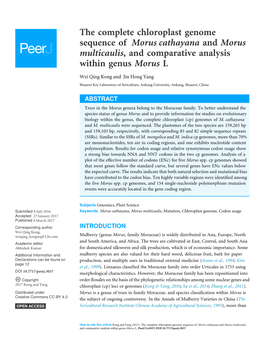 The Complete Chloroplast Genome Sequence of Morus Cathayana and Morus Multicaulis, and Comparative Analysis Within Genus Morus L