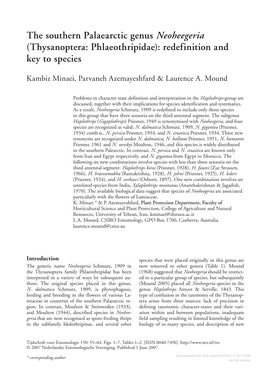 Thysanoptera: Phlaeothripidae): Redefinition and Key to Species