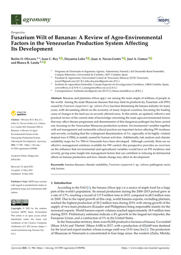 Fusarium Wilt of Bananas: a Review of Agro-Environmental Factors in the Venezuelan Production System Affecting Its Development
