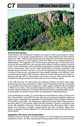 Laurentian Mixed Forest Province, Cliff/Talus System Summary